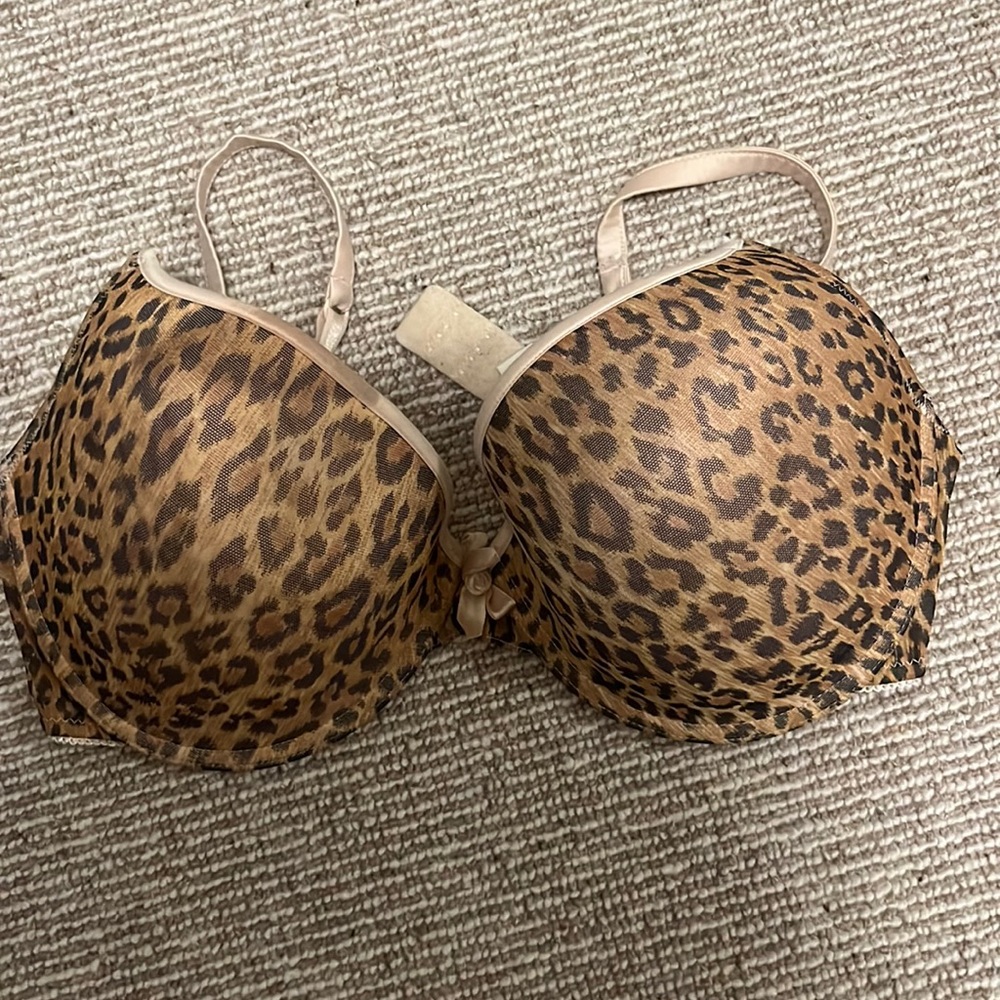 Dolce & Gabbana Leopard Print Push-Up Bra in Brown and Tan
